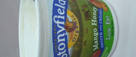 Stonyfield Farm Organic Mango Honey Yogurt