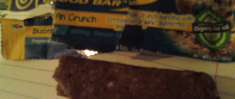 Organic Food Bar Blueberry Muffin Crunch Bar