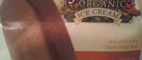 Julie’s Organic Ice Cream Organic Fudge Bars