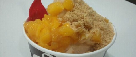 Red Mango Pumpkin Spice Frozen Yogurt